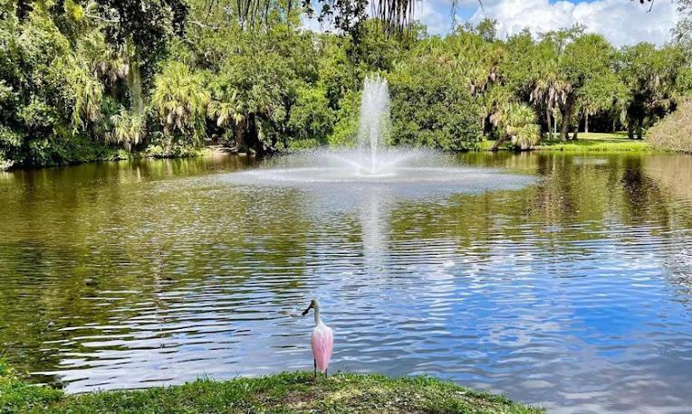 One Bed Suite Near Beaches And Downtown Sarasota Luaran gambar